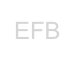 EFB
